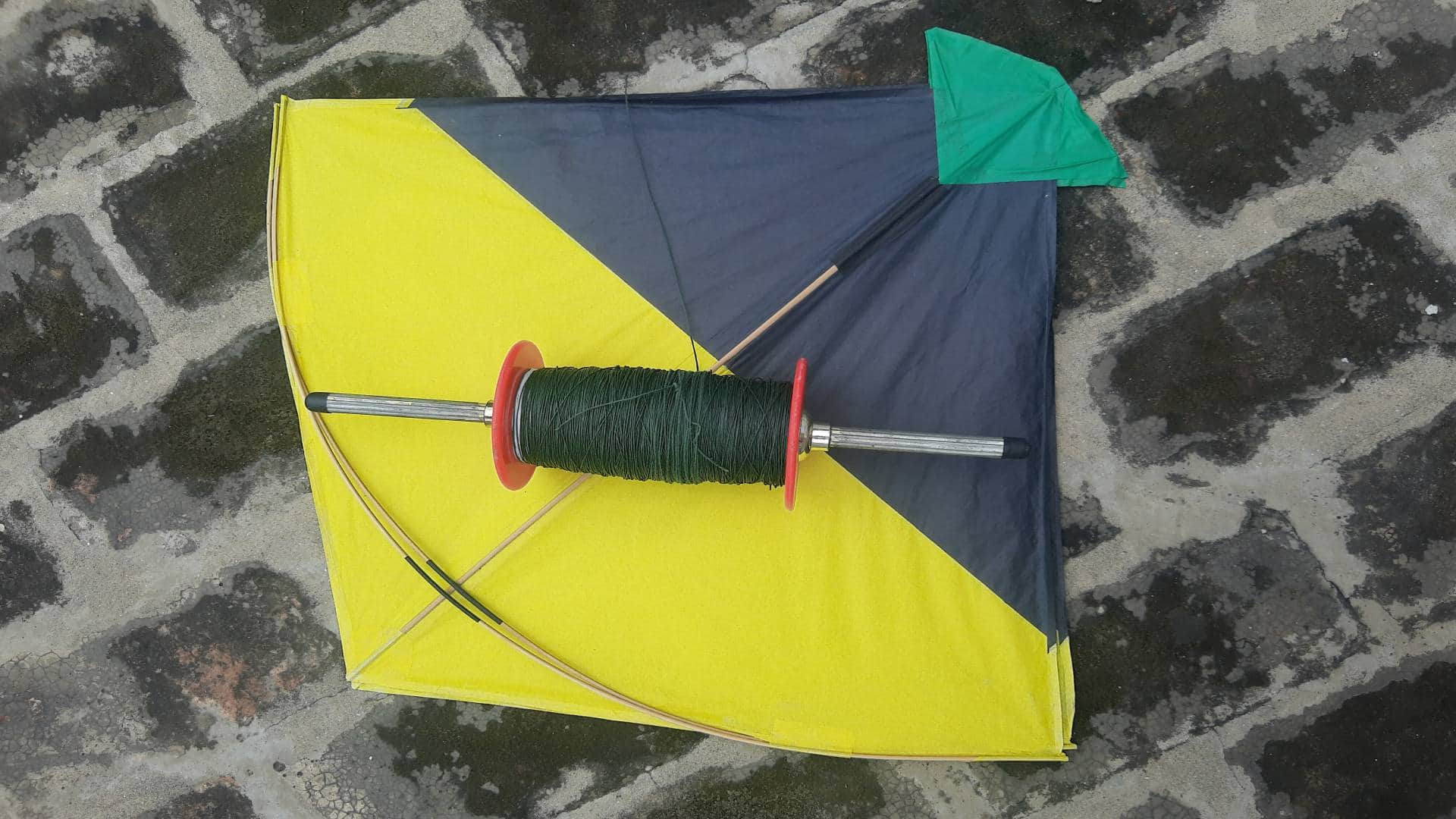 Makar Sankranti 2026: Chinese Manja Safety Tips How to Save Your Life If It Gets Stuck Around Neck