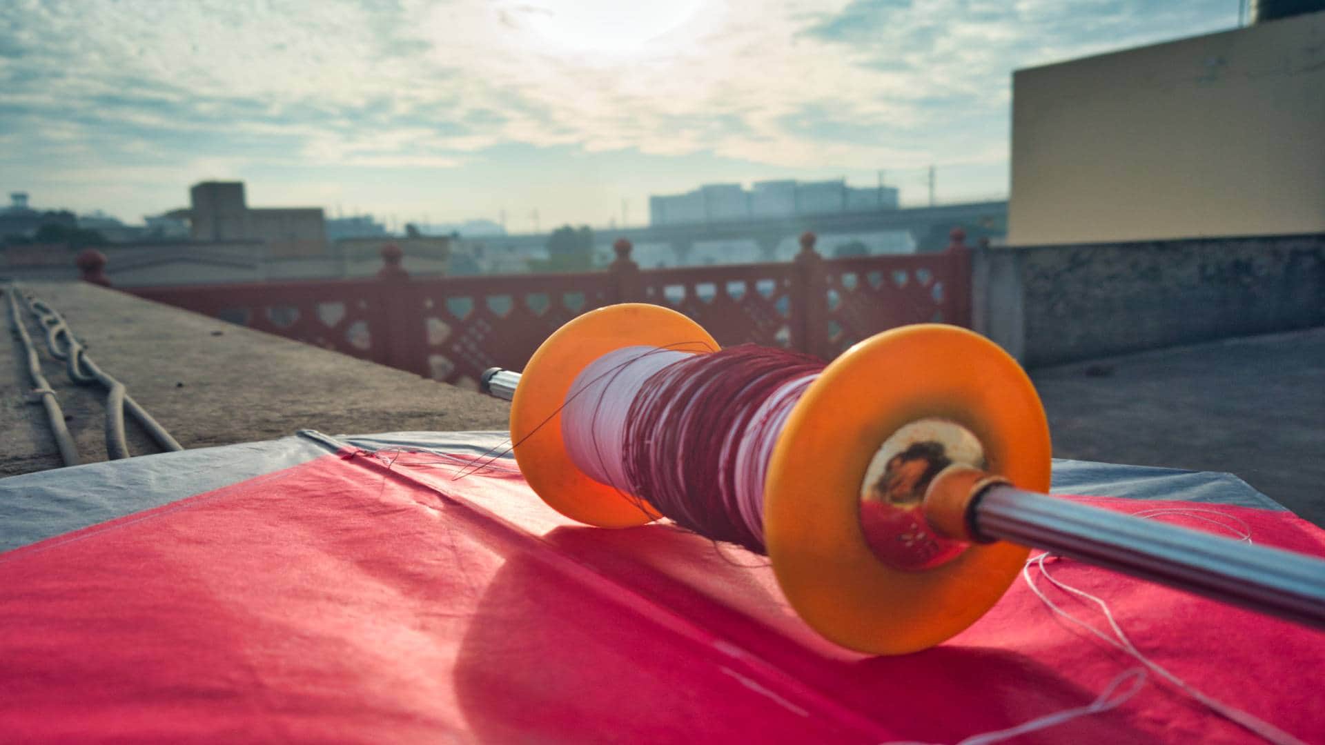 Makar Sankranti 2026: Chinese Manja Safety Tips How to Save Your Life If It Gets Stuck Around Neck