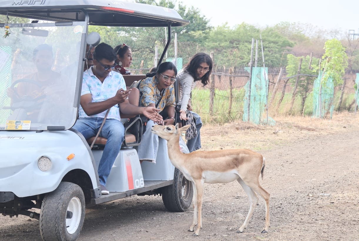 Indore: Deer safari will be done by golf cart in Ralamandal of Indore, tourists can travel for 60 rupees