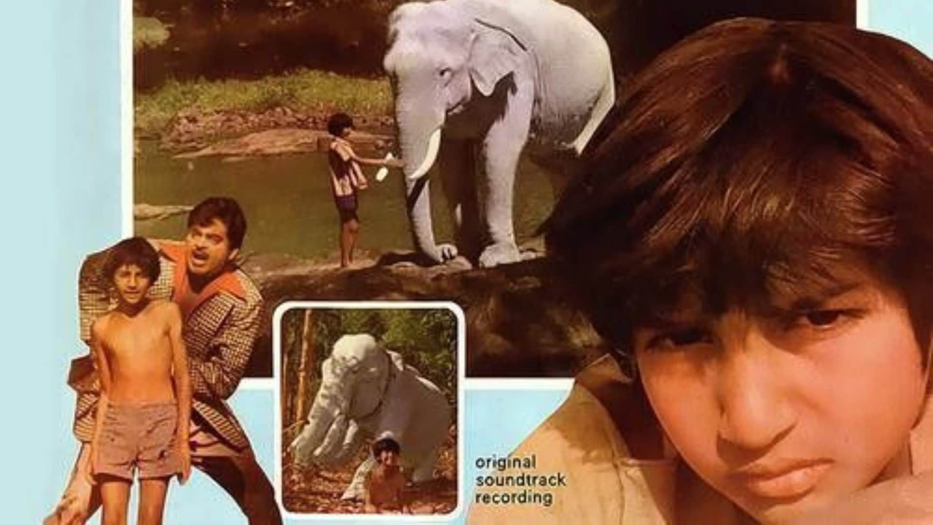 World Elephant Day 2025 Bollywood Movies Featuring Elephants Haathi Mere Saathi Junglee Dost Safed Haathi