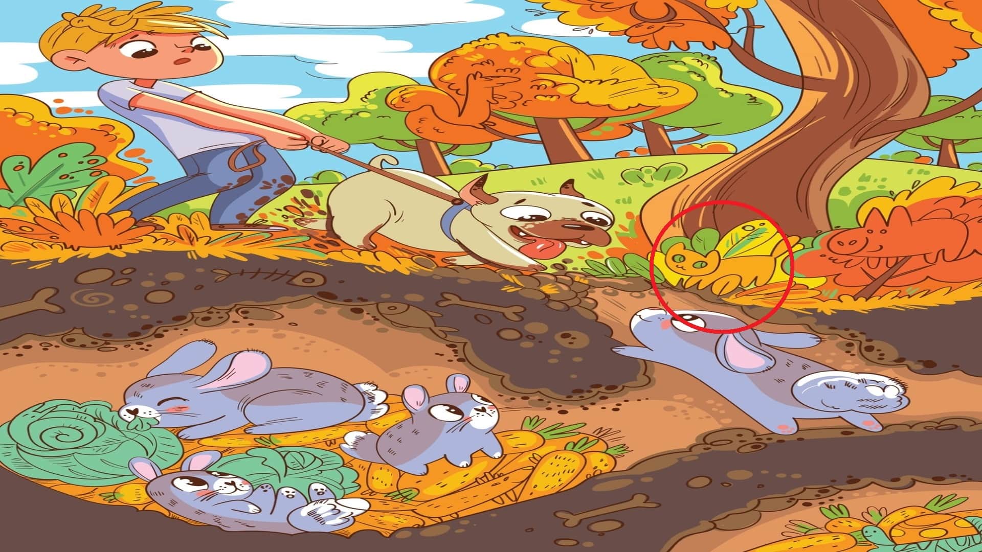 Optical Illusion IQ Test Brain Test Can You Spot Cat in 15 Seconds