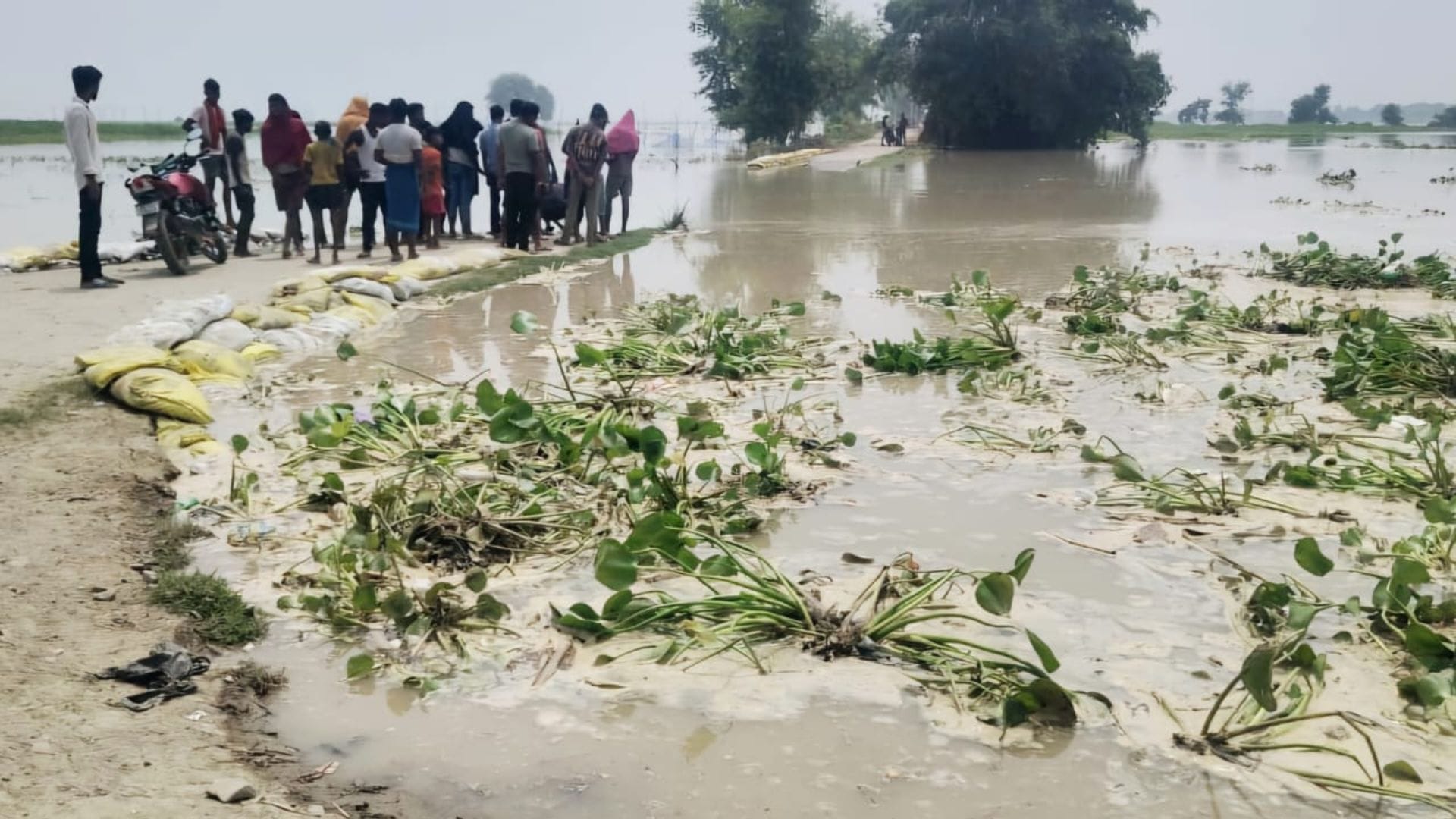बाढ़ का कहर