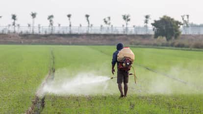 Farmer registry of 1.70 lakh farmers stuck due to error in records in Bareilly