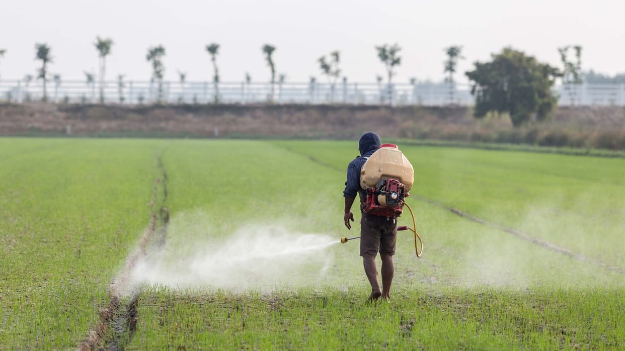 Farmer registry of 1.70 lakh farmers stuck due to error in records in Bareilly