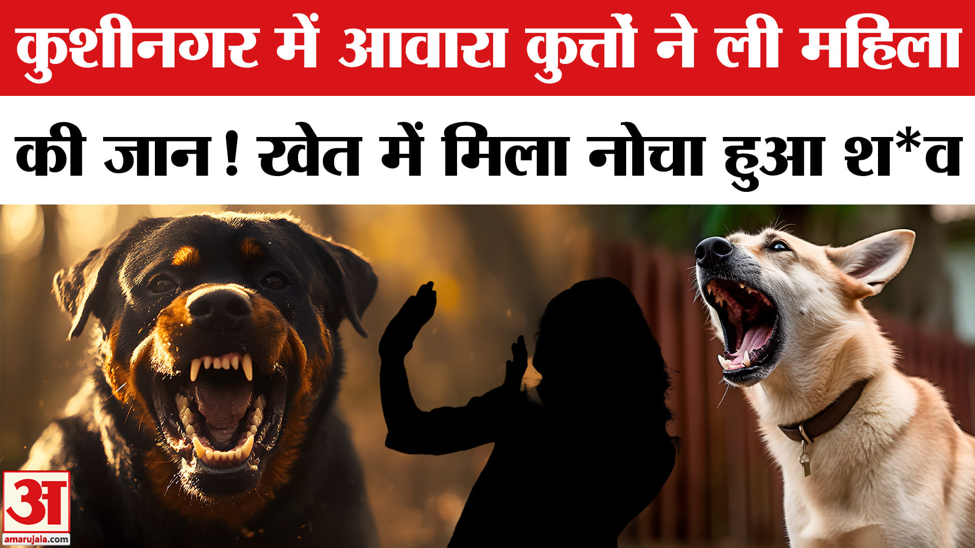 Kushinagar में आवारा कुत्तों का हमला, मानसिक रूप से बीमार महिला की मौ*त! Uttar Pradesh