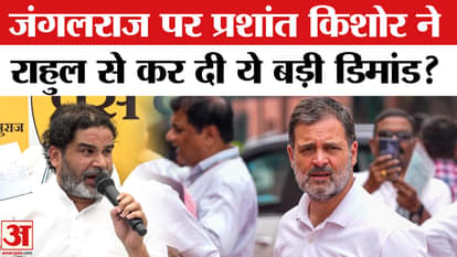 Prashant Kishor Slams Rahul Gandhi: Why did Prashant Kishor make this demand from Rahul Gandhi?