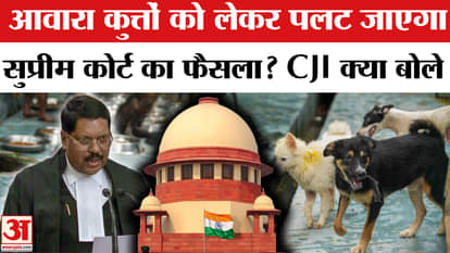 CJI BR Gavai statement on Supreme court decision on Stray Dogs