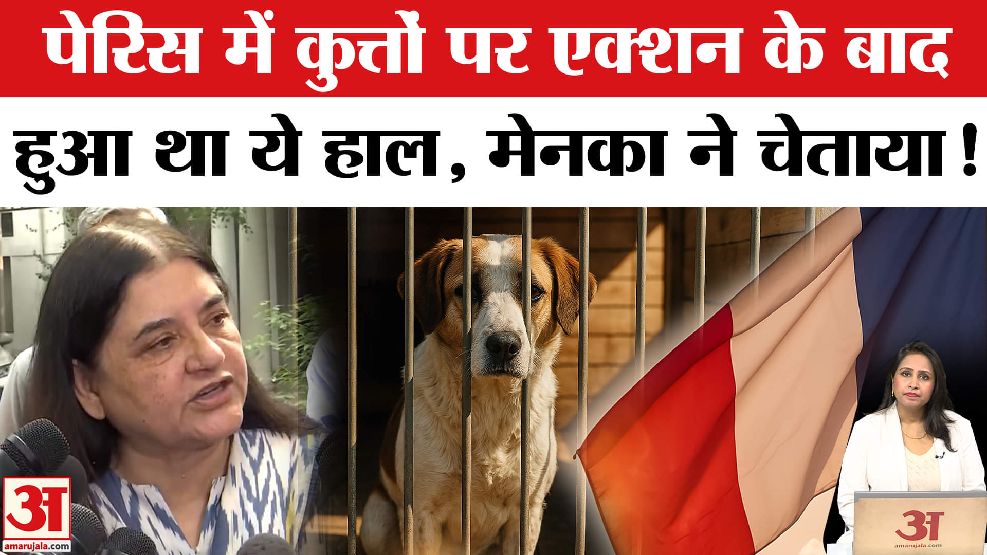 Supreme Court on Stray Dogs: Rahul Gandhi के बाद Menka Gandhi ने उठाए सवाल, पेरिस की सुनाई कहानी।