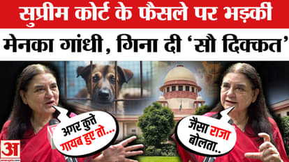 Maneka Gandhi angry over Supreme Court's decision on stray dogs