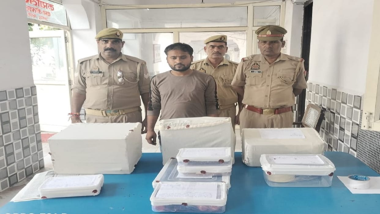 Fake seals, fake government documents maker arrested, sensitive documents also recovered