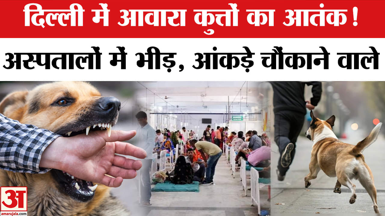 Delhi-NCR में Dogs Bite केस में बेतहाशा बढ़ोतरी, जख्मी लोगों का आंकड़ा करेगा हैरान | Shocking Report