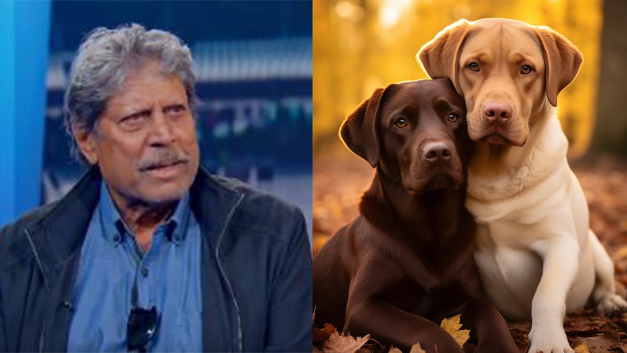 Kapil Dev pleads to authorities amidst SC row says Give stray dogs a better life know details
