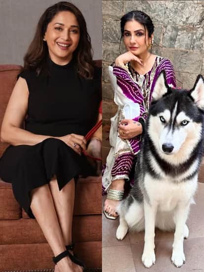 माधुरी दीक्षित, रवीना टंडन