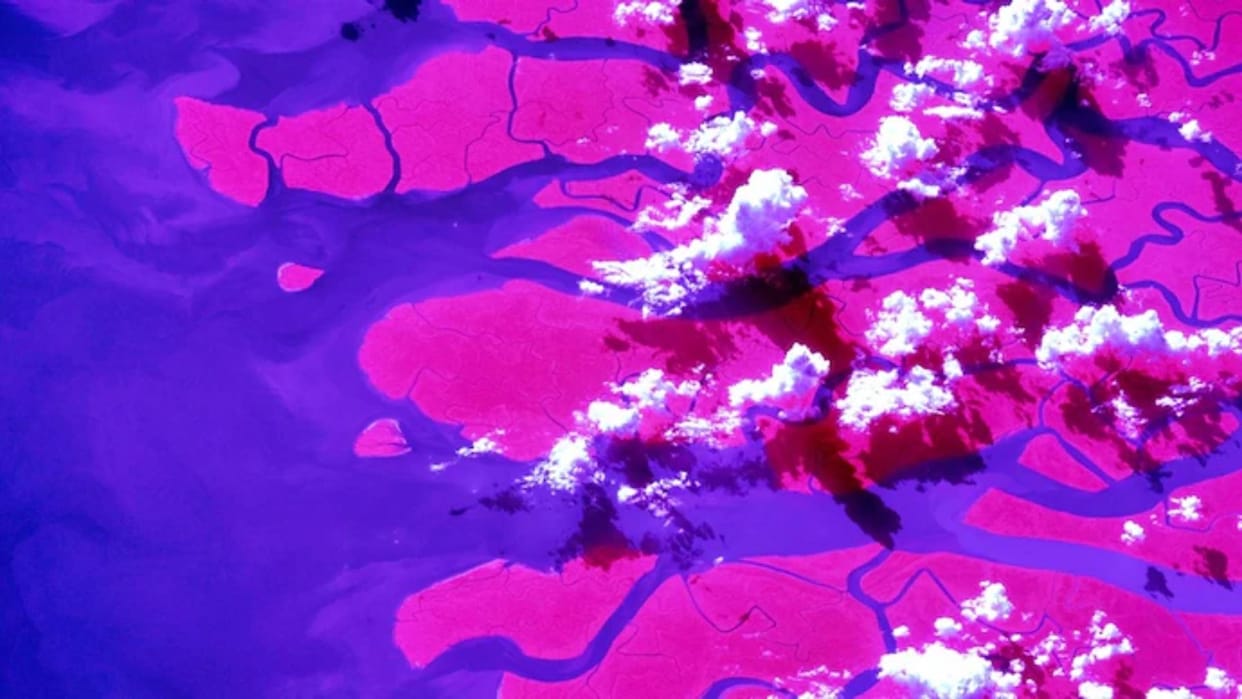 NASA astronaut captures stunning near-infrared image of Ganges River delta from space