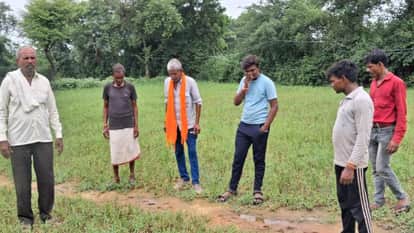 Jhansi: Wild animal made goats its prey, villagers scared of it being a leopard
