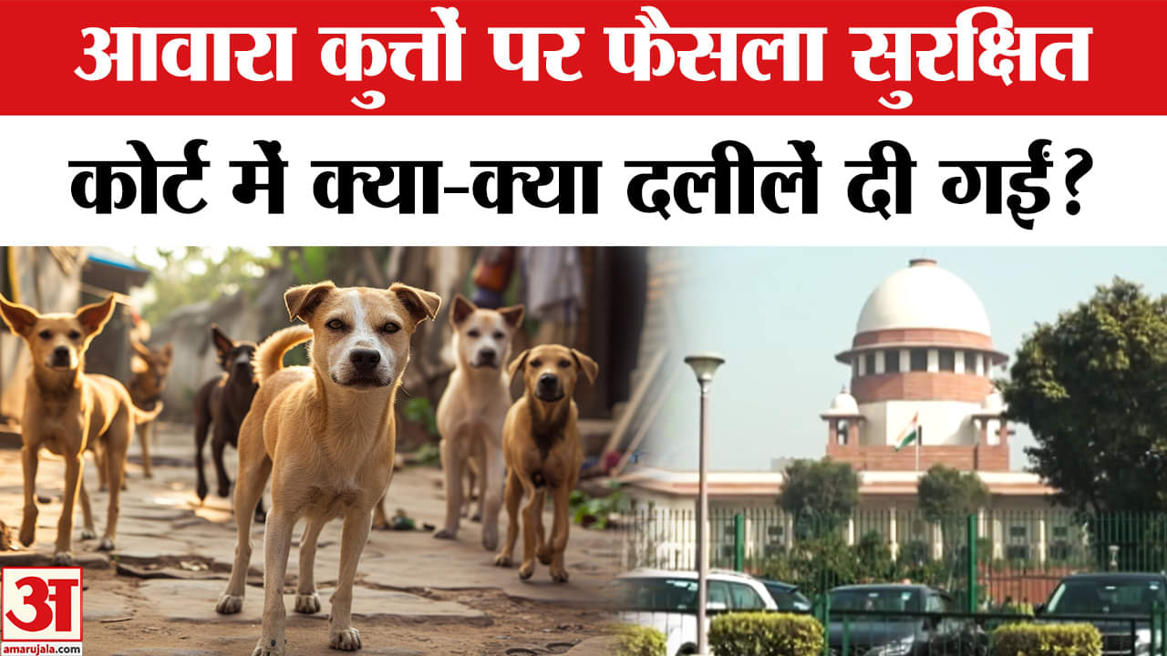 SC Hearing on Stray Dogs: तीन सदस्यीय पीठ ने आवारा कुत्तों पर दलीलें सुनी और अपना फैसला सुरक्षित रखा