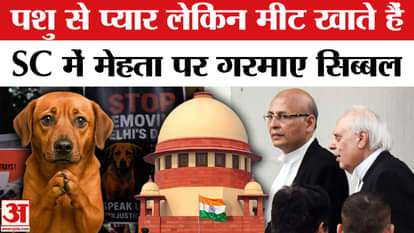 Supreme court Hearing on Stray Dogs know what sibal says