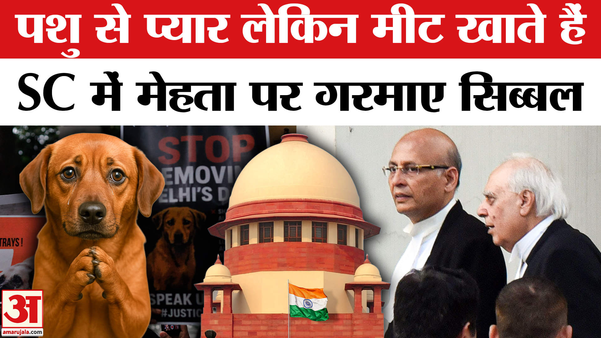 आवारा कुत्ता