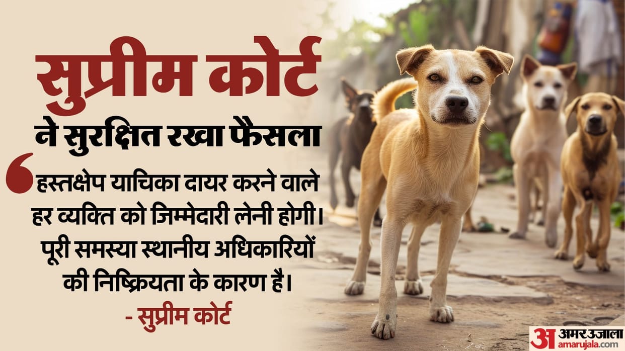 Stray dogs in Delhi-NCR: SC reserves order on interim prayer seeking stay on Aug 11 order