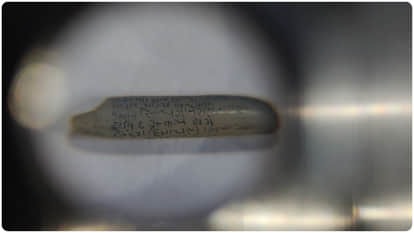 स्वतंत्रता दिवस- चावल के दाने पर राष्ट्रगान