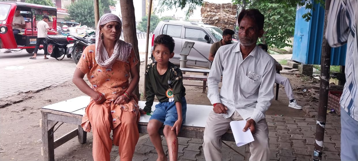 Stray Dog Pack Mauls 11-Year-Old Student, Injured Boy Rushed to Hospital