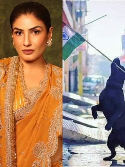 रवीना टंडन, कुत्ता