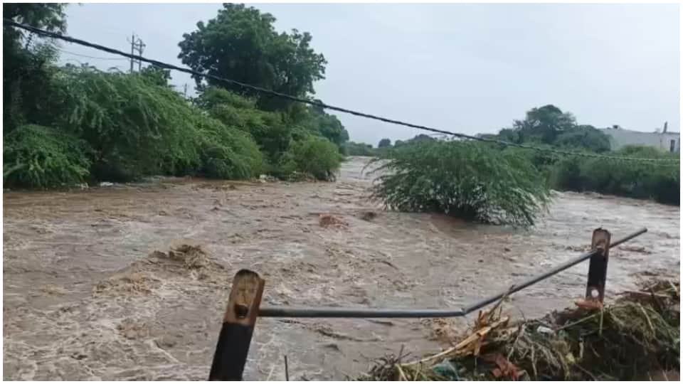Barwani Weather: Rupa River in Rajpur Overflows After Heavy Rain, Vehicles and Shops Swept Away