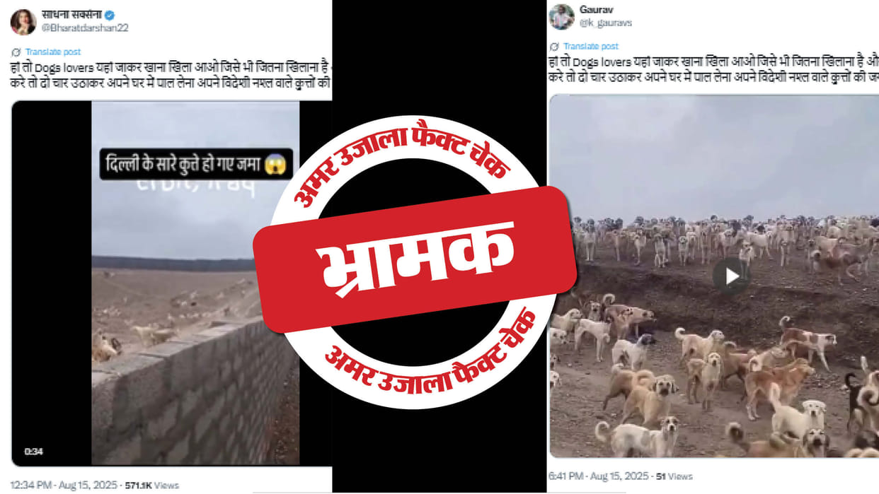 Video of dogs from Iraq is being shared as Delhi, read the full investigation