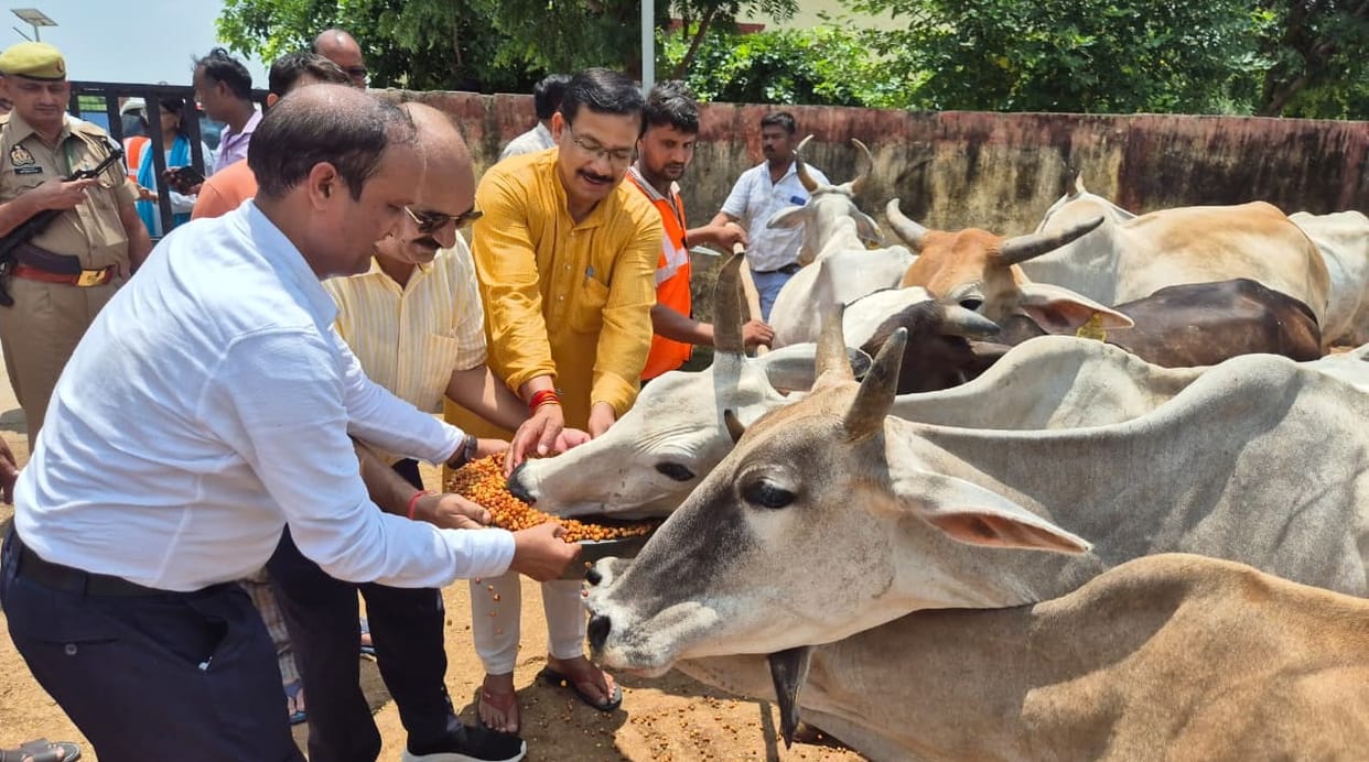 Orai Bhajans resounded in cow shelters DM worshipped cow said Cow is foundation of culture and agriculture