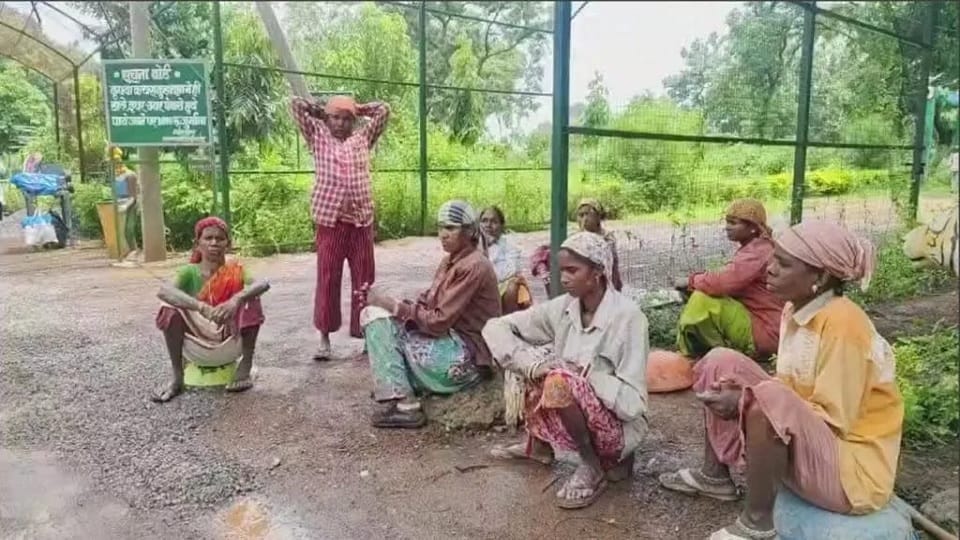 Workers working in the environment park did not get salary sought help from the minister Kashyap reprimanded t