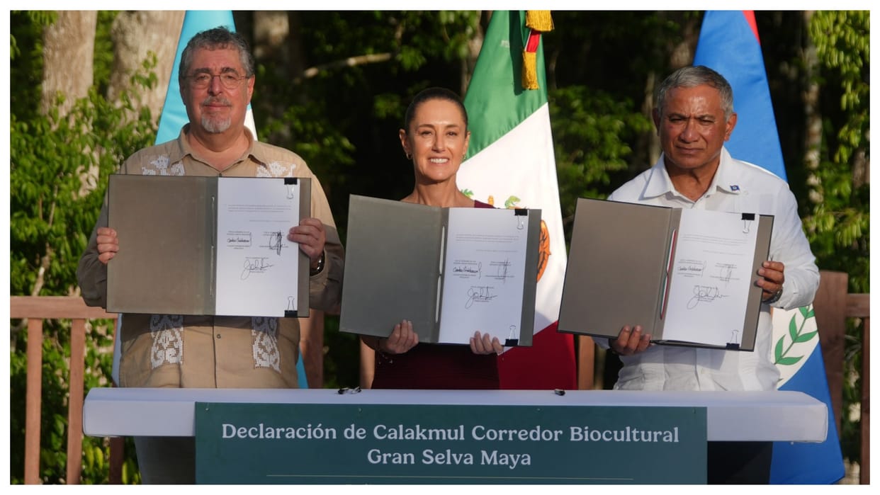 Mexico Guatemala and Belize to create tri-national nature reserve to protect Mayan jungle