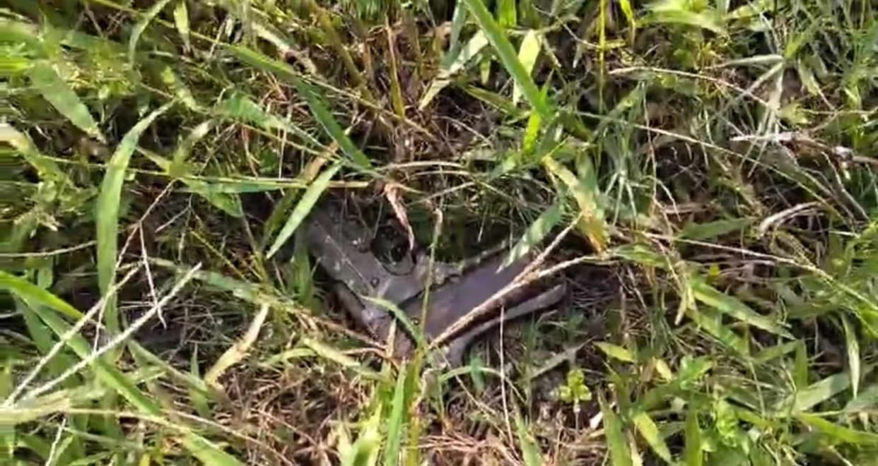 Bihar News: Encounter between criminals and police in Vaishali, station in-charge narrowly escapes