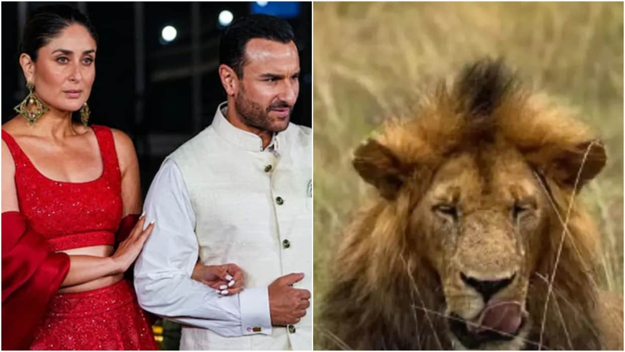 kareena kapoor birthday Birthday wish for saif ali khan shares lion photo calls him her king
