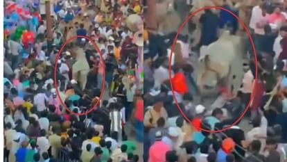 Bull attack during Chehallum: संभल में चेहल्लुम जुलूस के दौरान घुसा सांड, मची भगदड़.... कई लोग घायल – वीडियो वायरल