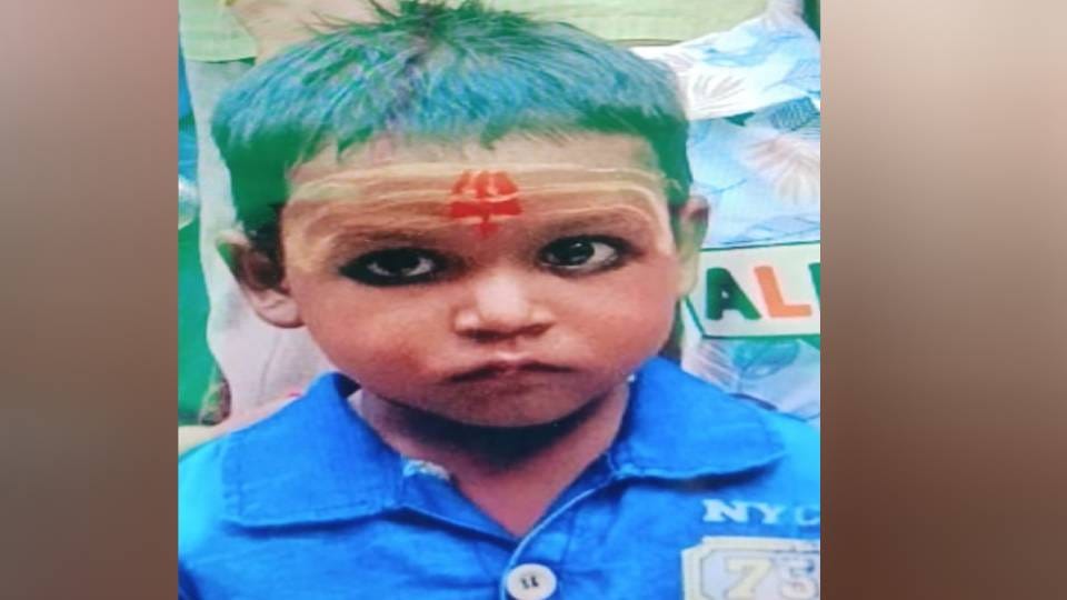 e-auto collided with vegetable cart in Lucknow innocent child died after falling from his mother lap on road