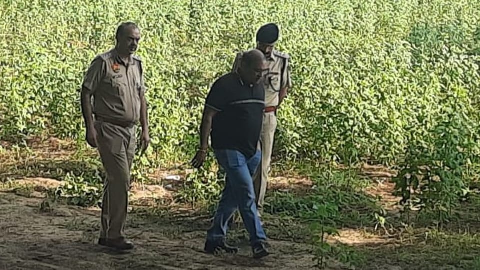 Teacher murder case Murder or suicide these questions arose on the theory, whose answers are still incomplete