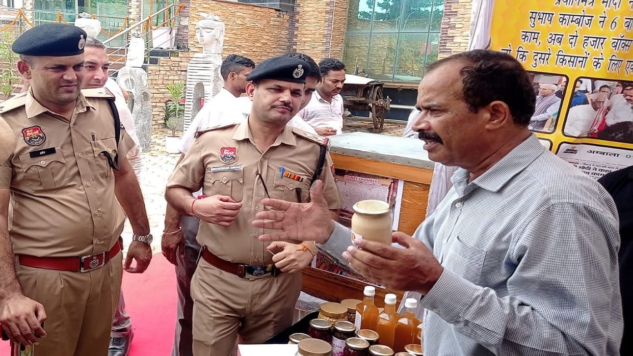farmer started beekeeping as hobby with six boxes inn kurukshetra, turnover reached six crores