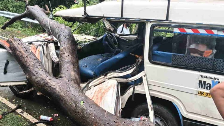 Uttarkashi: पिपली के पास हादसा, मैक्स वाहन पर गिरा पेड़, सवार थे सात लोग, मची चीख पुकार