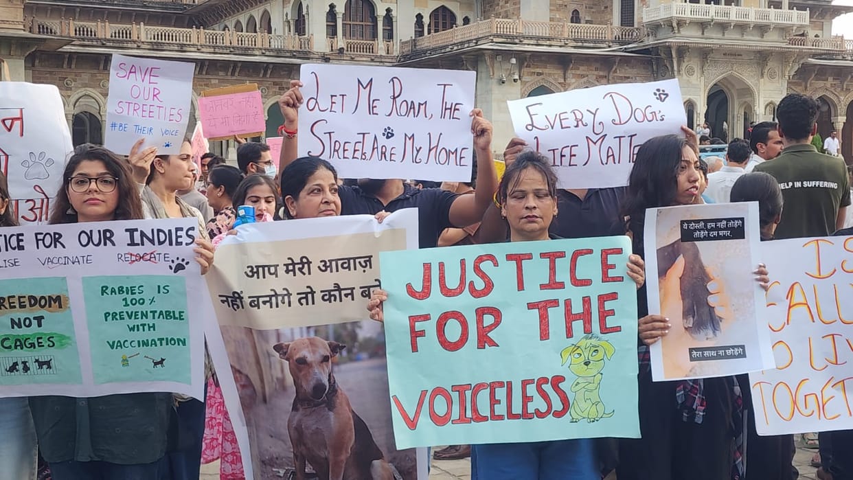 Rajasthan: Hundreds of people gathered in Jaipur demanding humane-scientific solution to street dog problem