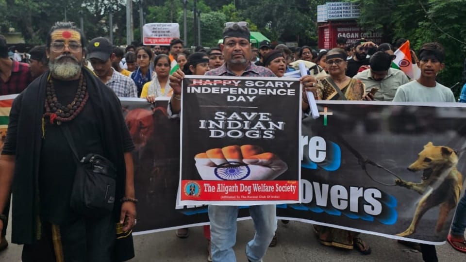 Animal lovers took out a peace march in Aligarh