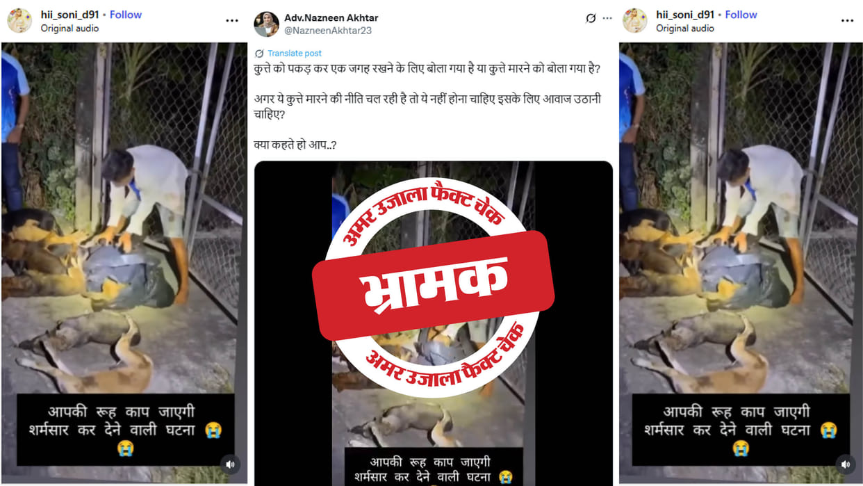 Video of dog theft in Vietnam is being shared as Indian