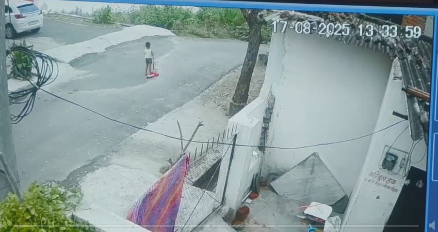 Rajasthan News Dog Bite Case In Udaipur Dogs attack again 5 year old innocent injured