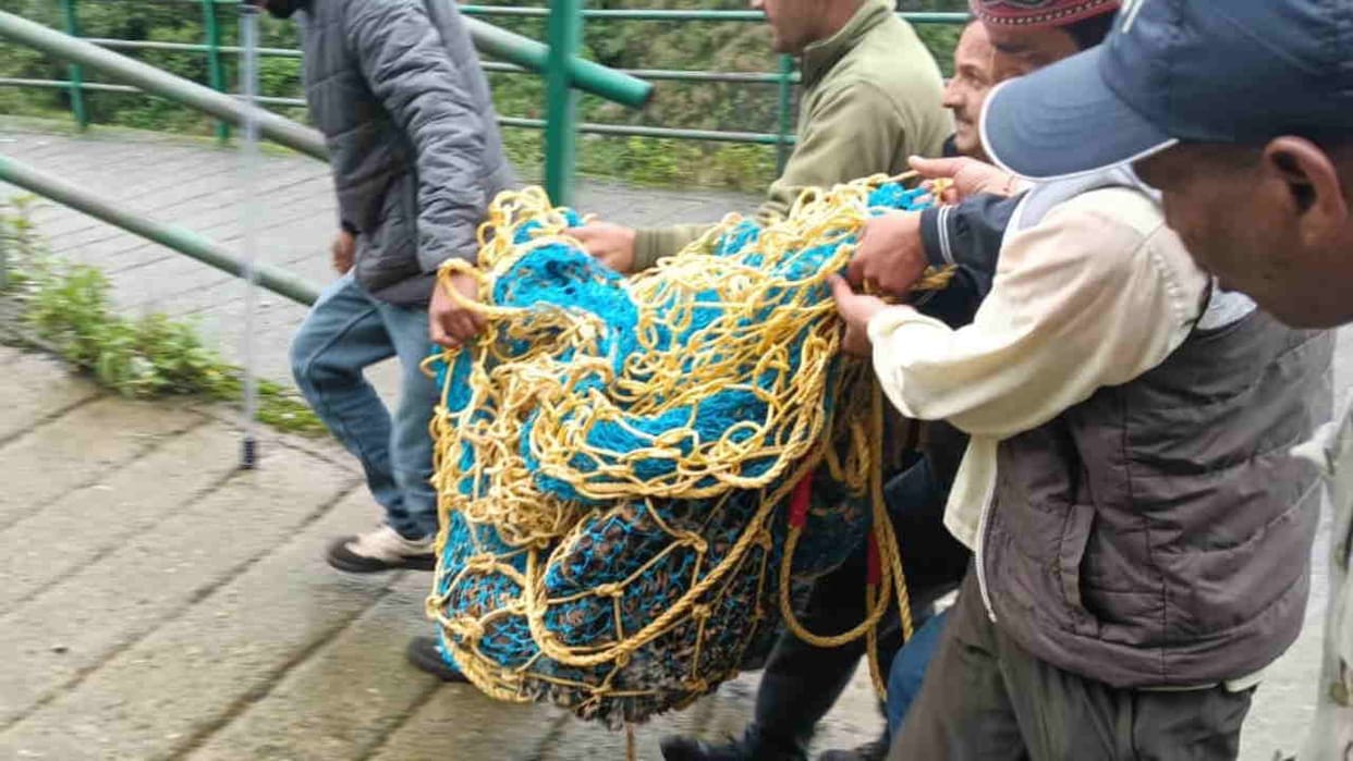 Forest department team rescued Sthaguldar in Landour Khattapani, Mussoorie