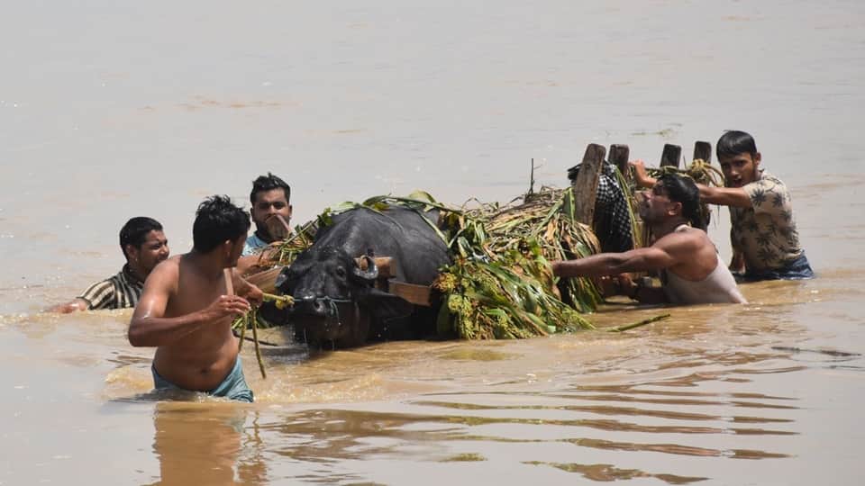 Moradabad Flood: Nine people died due to drowning, water level of Ramganga and Gagan rivers has decreased