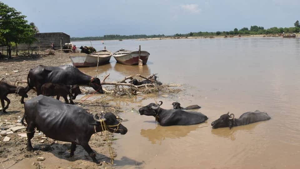 Moradabad Flood: The water level of Ramganga and Gagan rivers started decreasing, people got some relief