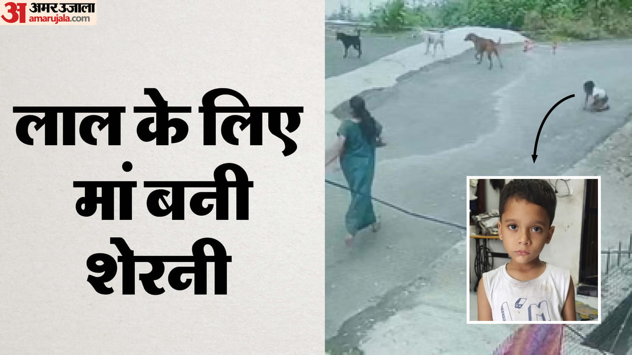 Rajasthan News Dog Bite Case In Udaipur Dogs attack again 5 year old innocent injured