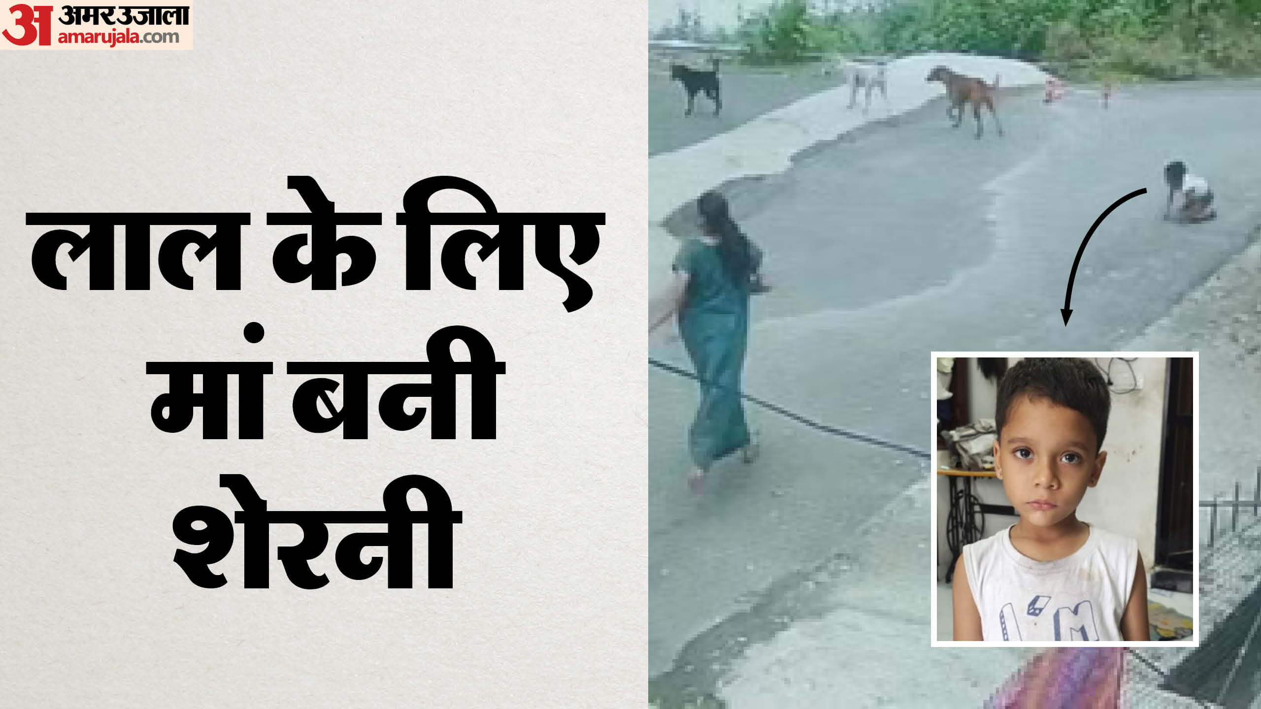पांच साल के मासूम बच्चे पर कुत्तों ने झुंड में मारा झपटा।
