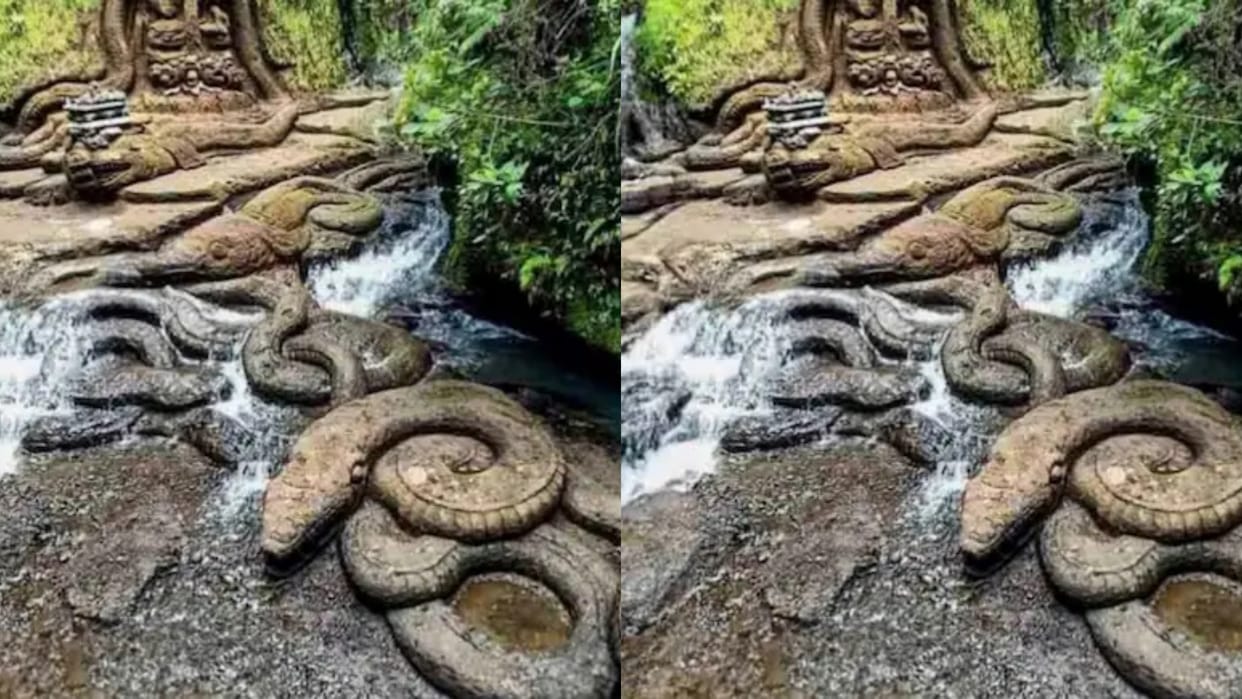 A herd of snakes seen in the waterfall famous as Snake Waterfall snake shaped stones present Video goes Viral