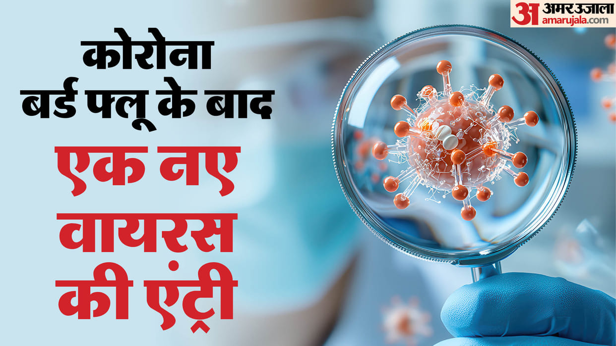 Oropouche virus risk and latest news worldwide Deadly sloth virus details in hindi
