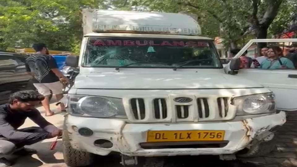 Delhi: Violation of Supreme Court order, fierce protest against catching stray dogs